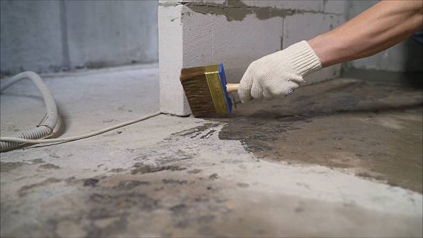 24/7 Emergency Waterproofing experts in Belleville, IL
